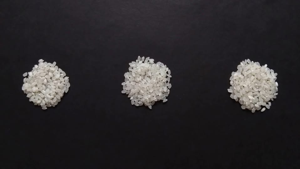 ＼新たな味わい発見！お米を知って、未来の食を考える／