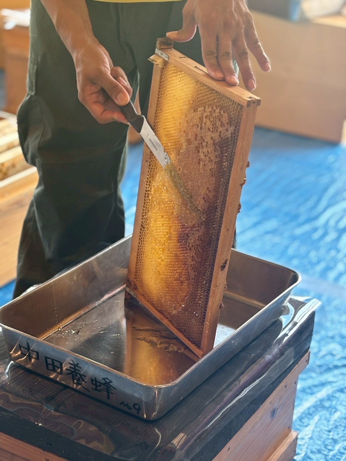【2025年の中田養蜂採蜜体験は無事終了しました】