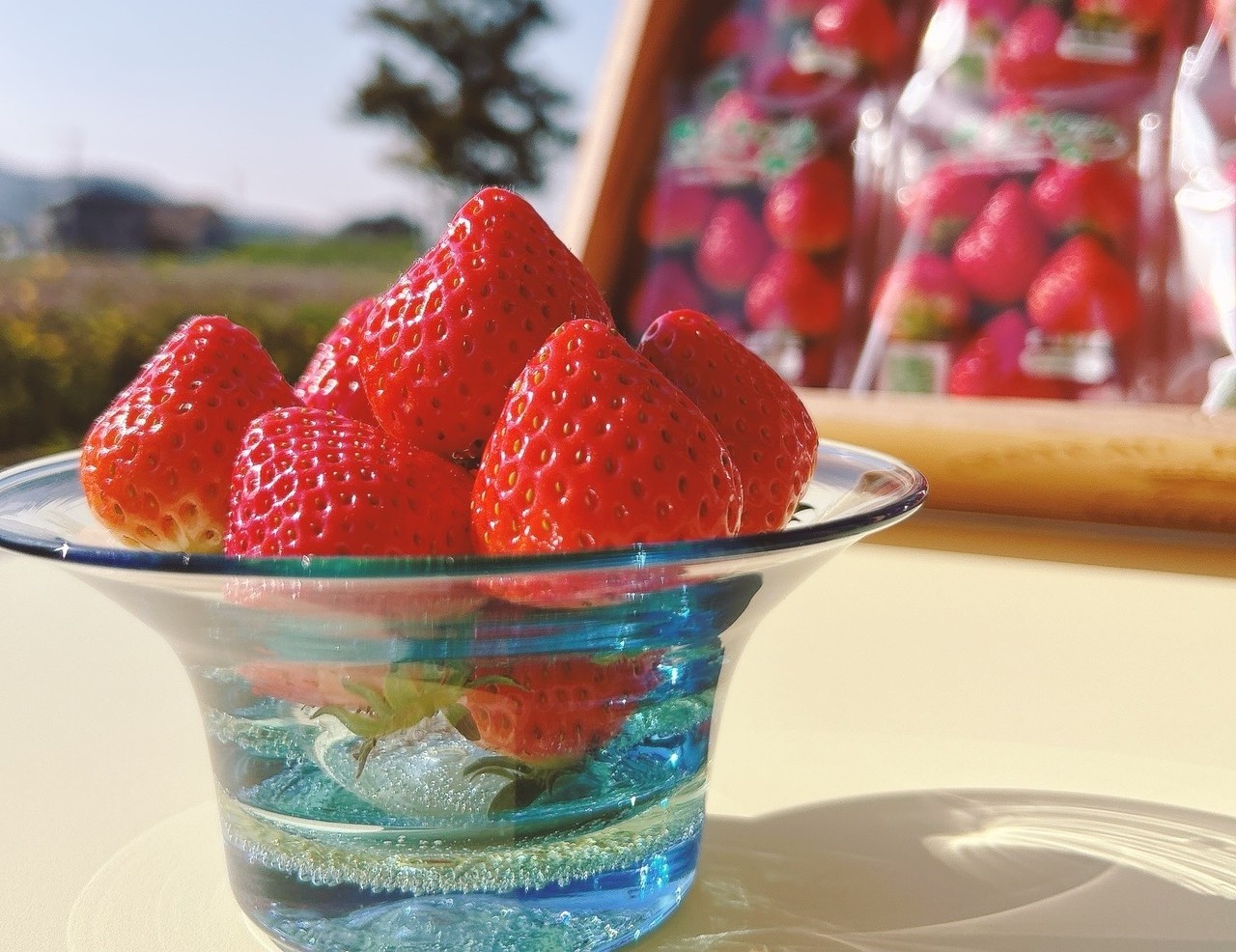 【遠藤さんのいちご&沖村さんのアスパラ】