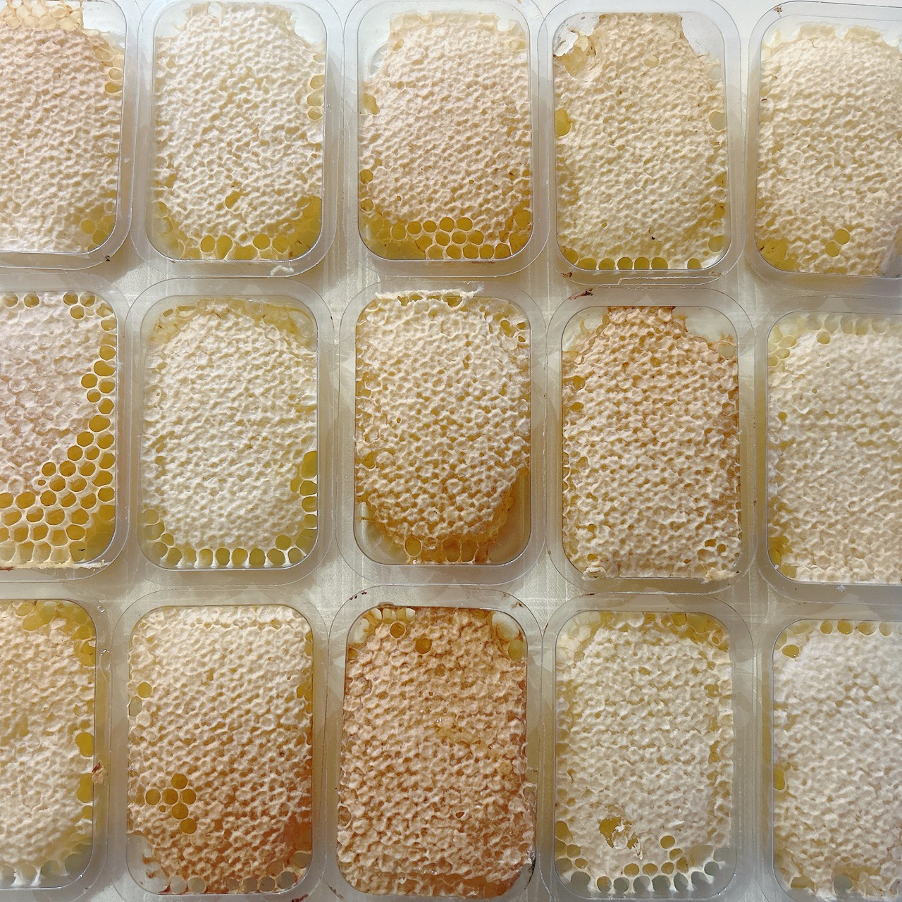 【コムハニーができました🍯】