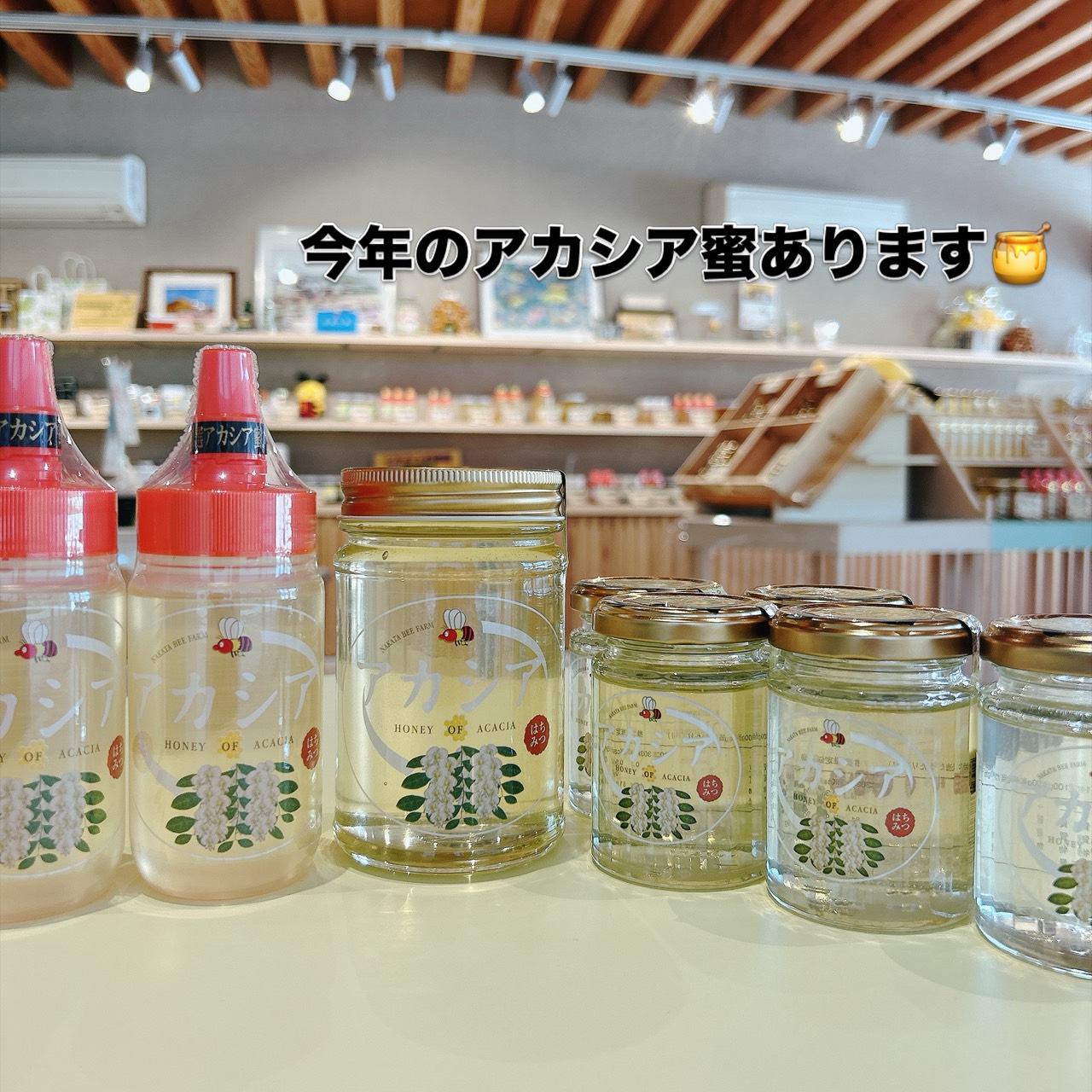【今年のアカシア蜜がご用意できました🍯】