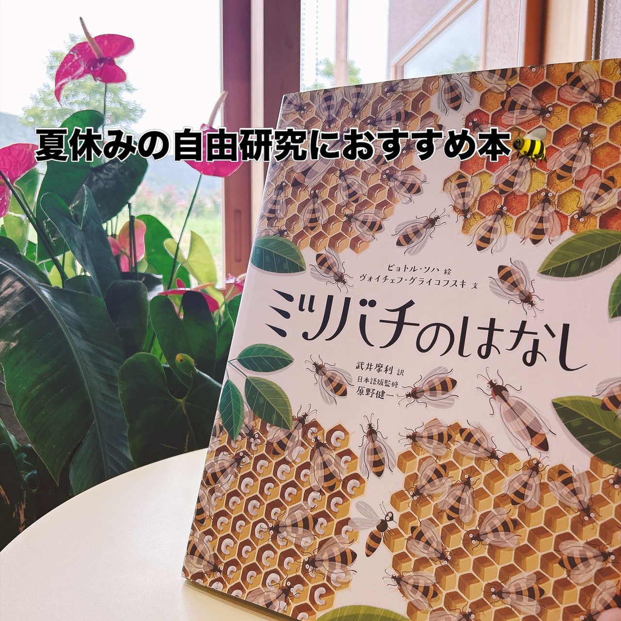 【🍯自由研究対策🐝】
